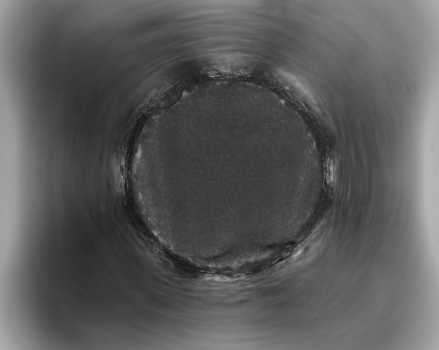 X0000093450915200710261058