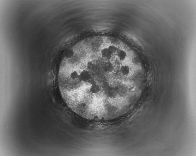 X0000093450917200710261058