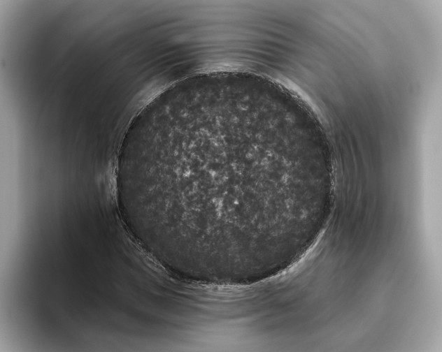 X0000093450921200710261058