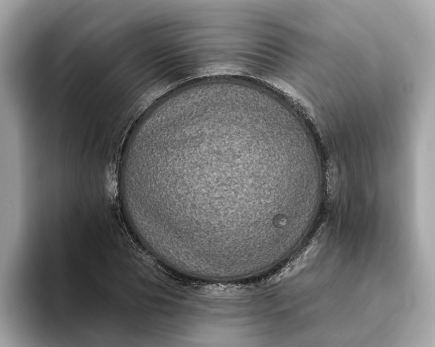 X0000093450929200710261058