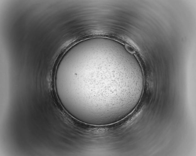 X0000093450930200710261058