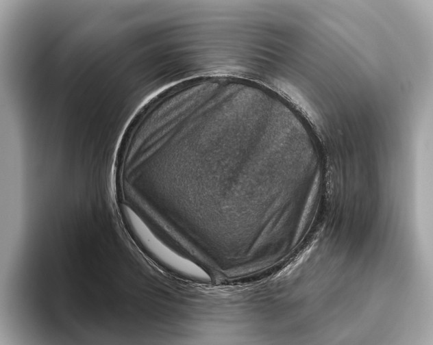 X0000093450932200710261058