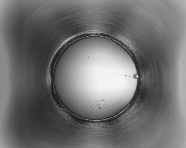 X0000093450934200710261058