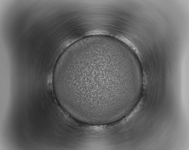 X0000093450937200710261058