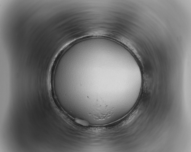 X0000093450939200710261058