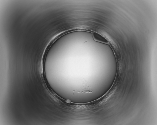 X0000093450940200710261058