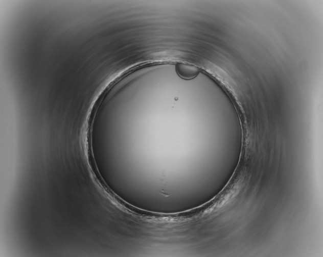 X0000093450941200710261058