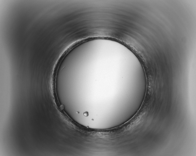 X0000093450942200710261058