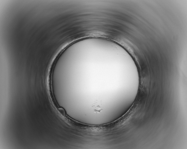 X0000093450947200710261058