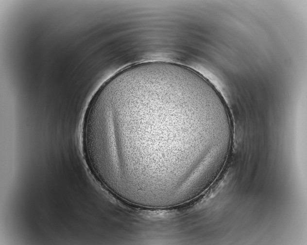 X0000093450949200710261058