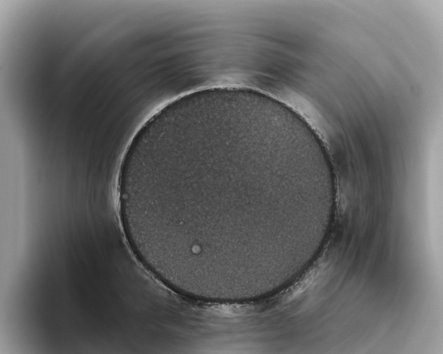 X0000093450950200710261058