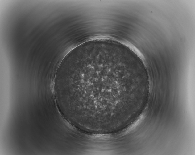 X0000093450953200710261058