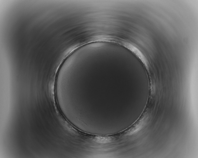 X0000093450954200710261058