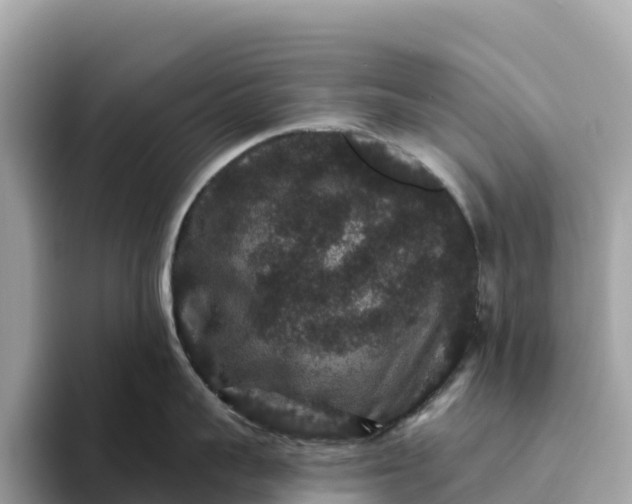 X0000093450959200710261058