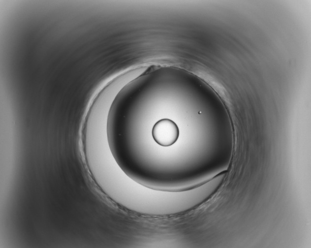 X0000093450960200710261058