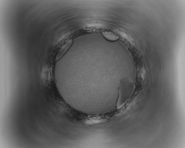 X0000093450965200710261058