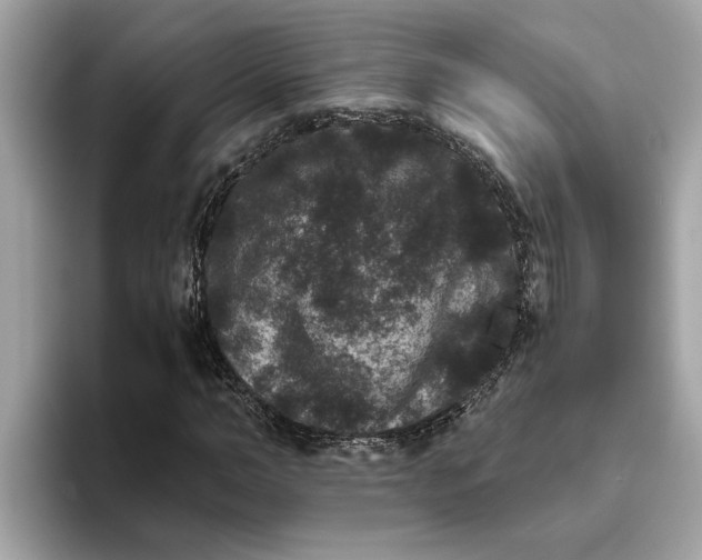 X0000093450966200710261058