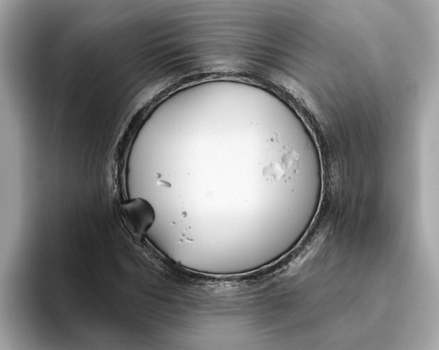 X0000093450970200710261058