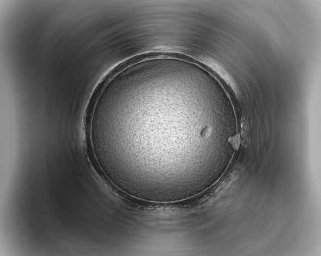 X0000093450972200710261058