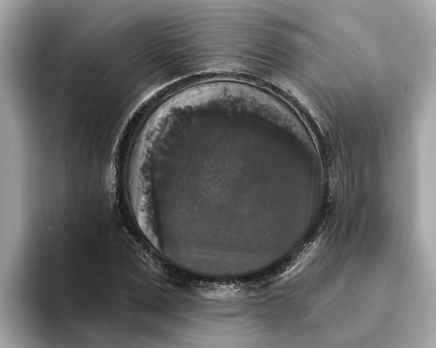 X0000093450975200710261057