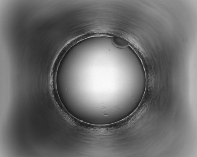 X0000093450976200710261057