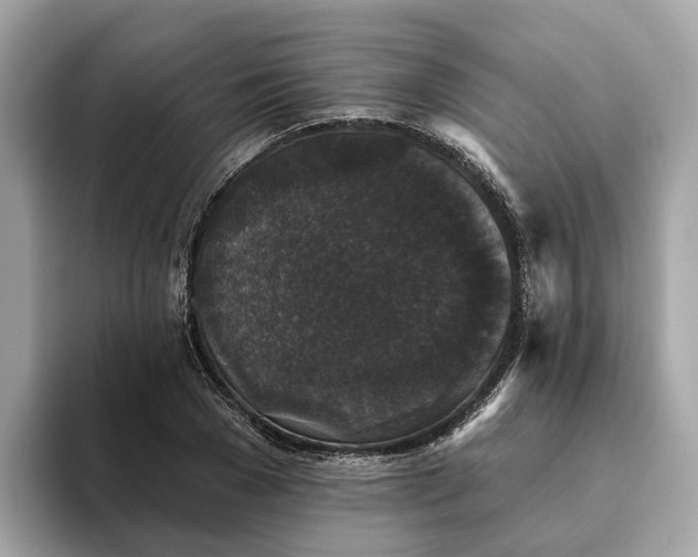 X0000093450977200710261057