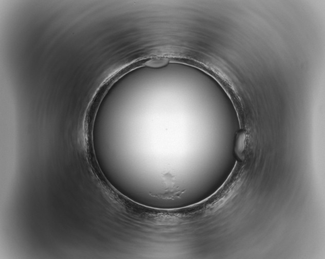 X0000093450981200710261057