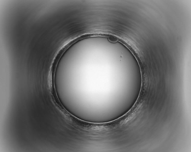 X0000093450982200710261057