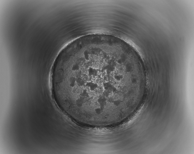 X0000093450983200710261057