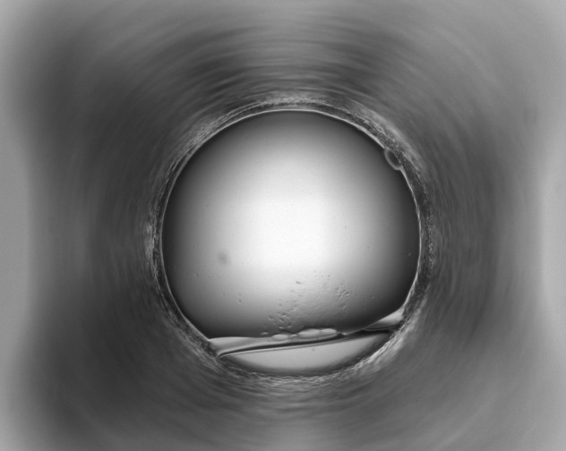 X0000093450985200710261057