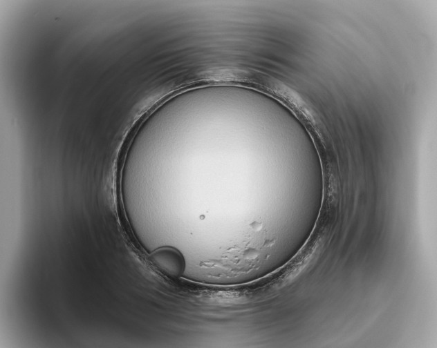 X0000093450986200710261057