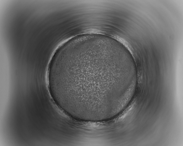 X0000093450987200710261057