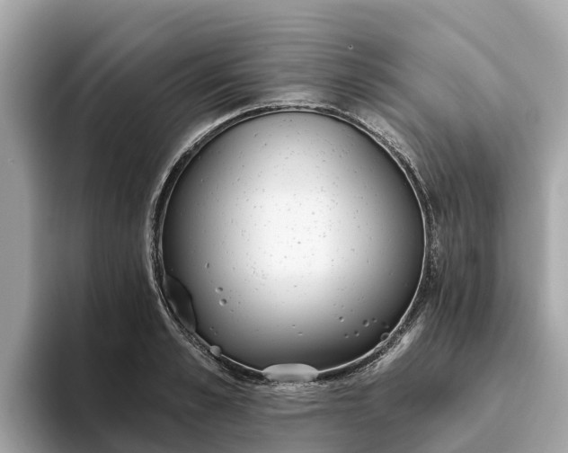 X0000093450989200710261057