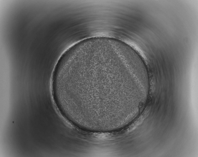 X0000093450991200710261057