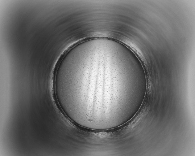 X0000093450992200710261057