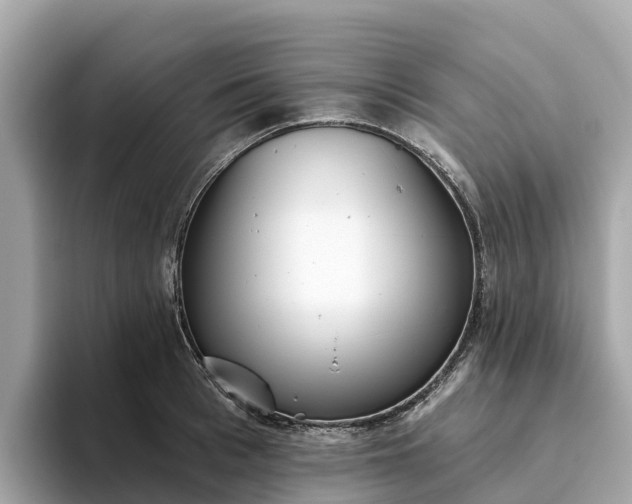 X0000093450993200710261057