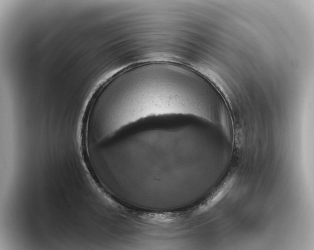 X0000093450995200710261057