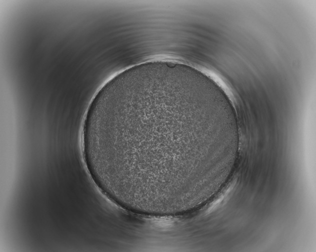 X0000093450999200710261057