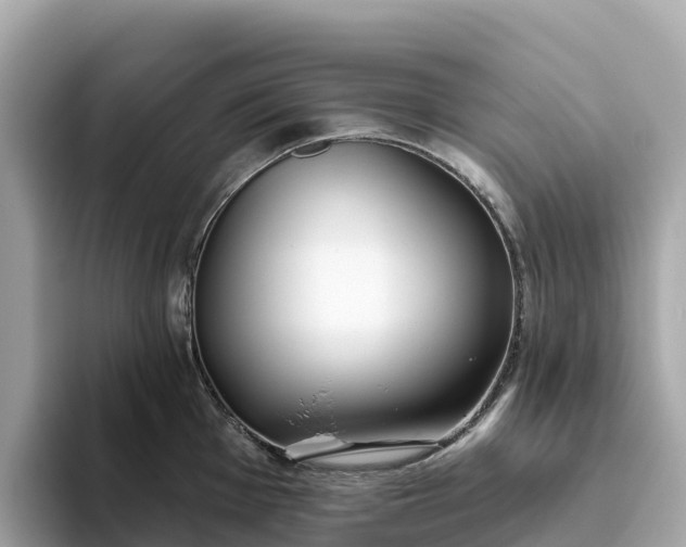 X0000093451001200710261057