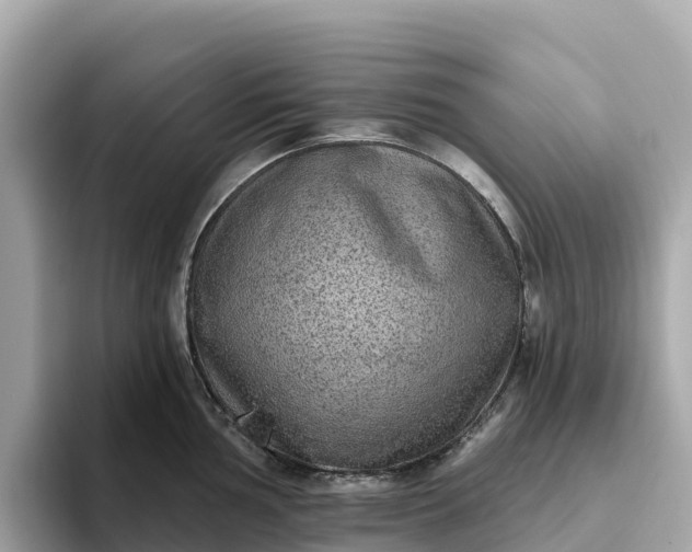 X0000093451002200710261057