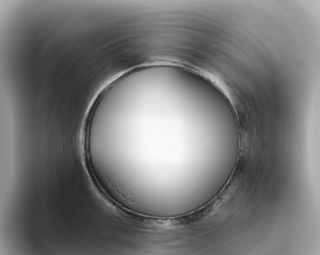 X0000093451003200710261057