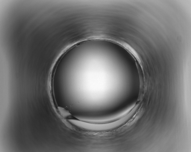 X0000093451005200710261057