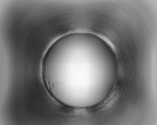 X0000093451006200710261057