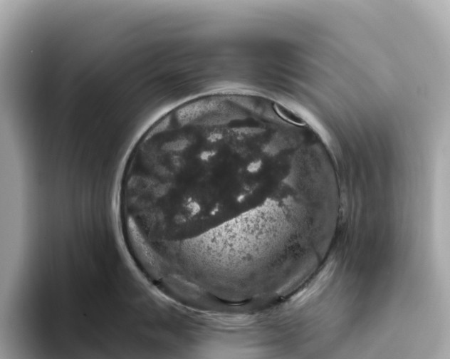 X0000093451007200710261057