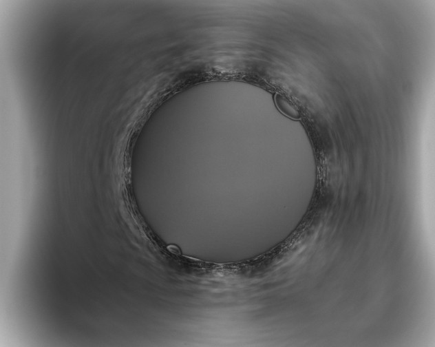 X0000093451009200710261056