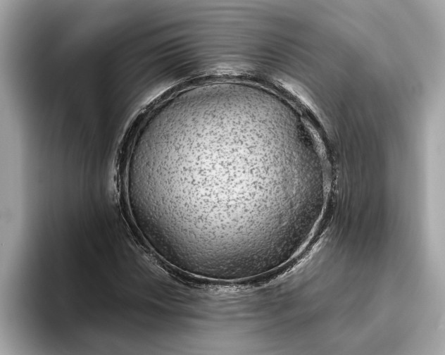 X0000093451018200710261057