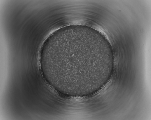 X0000093451019200710261057