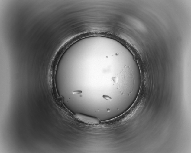 X0000093451021200710261057