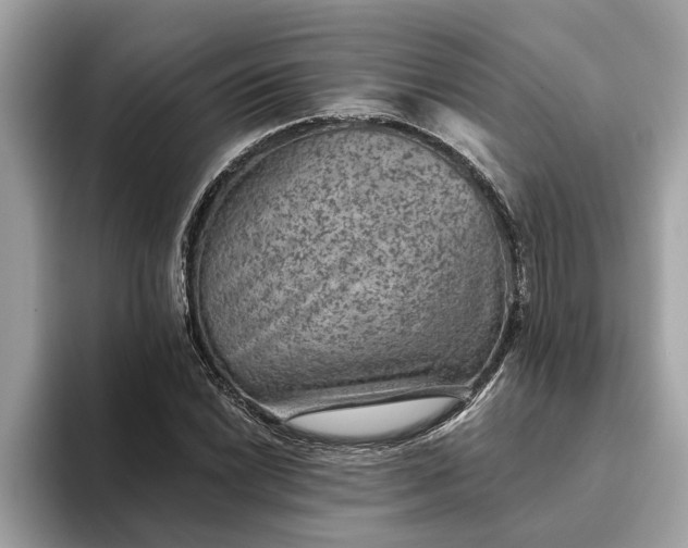 X0000093451022200710261057