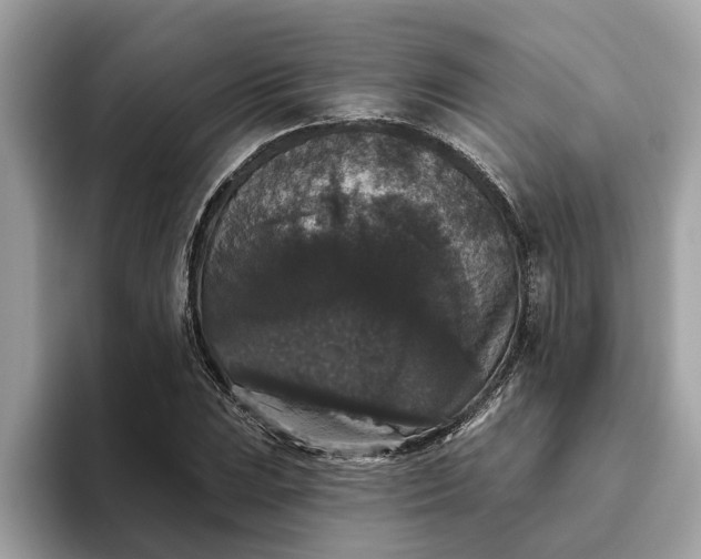 X0000093451023200710261057